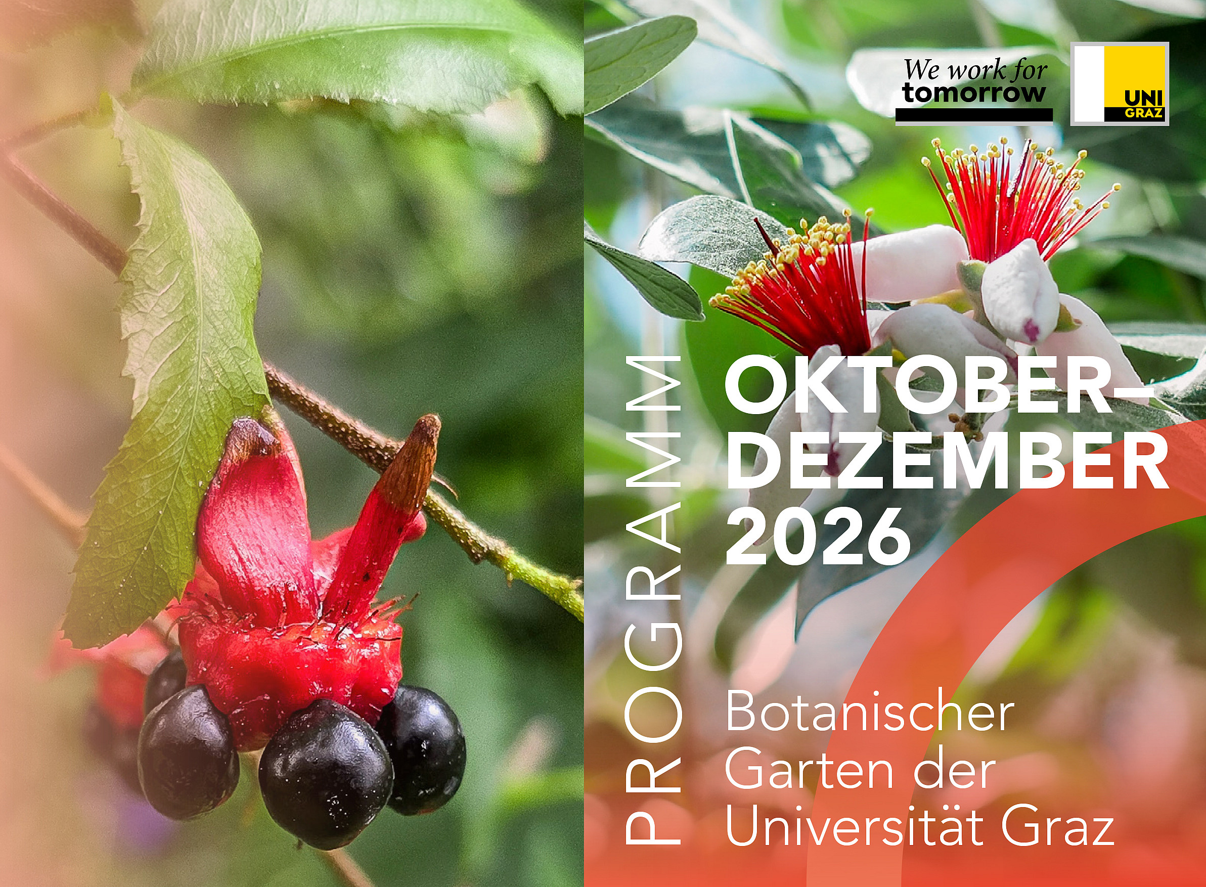 Titel Programm Okt-Dez26 