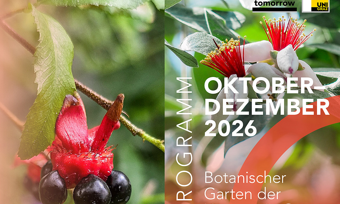 Titel Programm Okt-Dez26