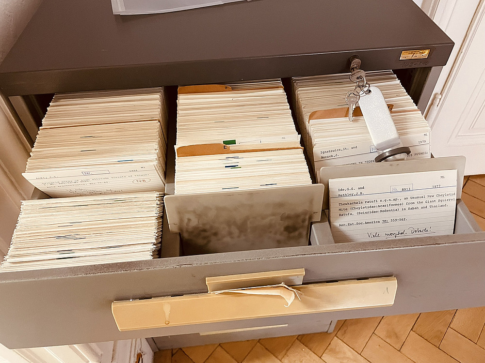 Lade Karteikasten ©unigraz/michaela_kerschbaumer