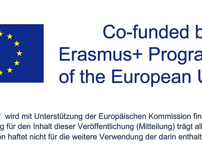 Logo Co-funded by the European Union 