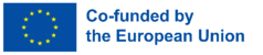 Logo Co-funded by the european union
