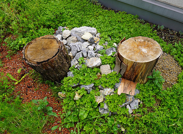 Two short, standing deadwood trunks, with a pile of stones between them, surrounded by low green plants ©Uni Graz/Benal