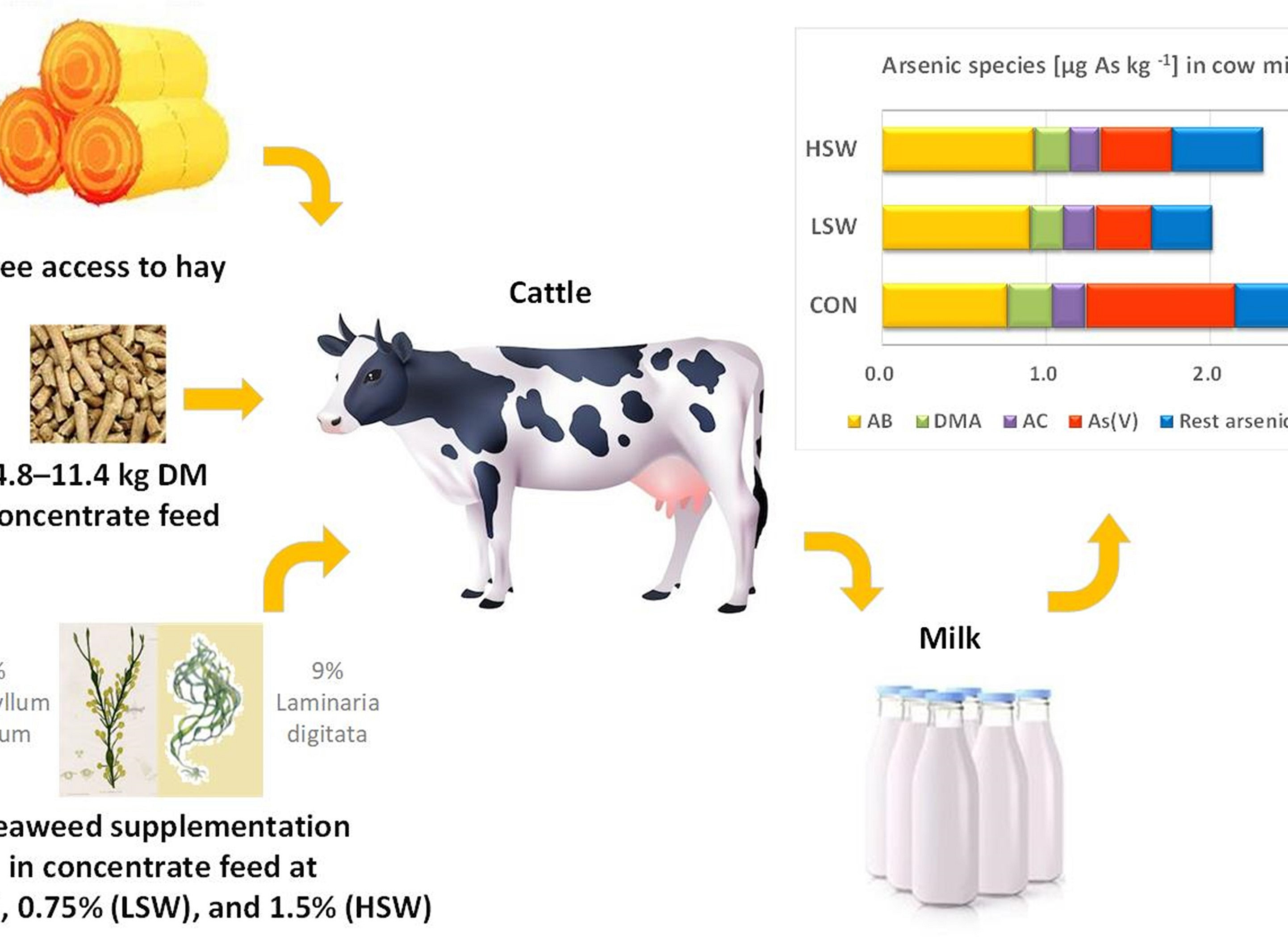 graphical abstract for Seaweed has had a tradition of being part of the animal feed in coastal areas since ancient times ©Chan - Uni Graz TESLA