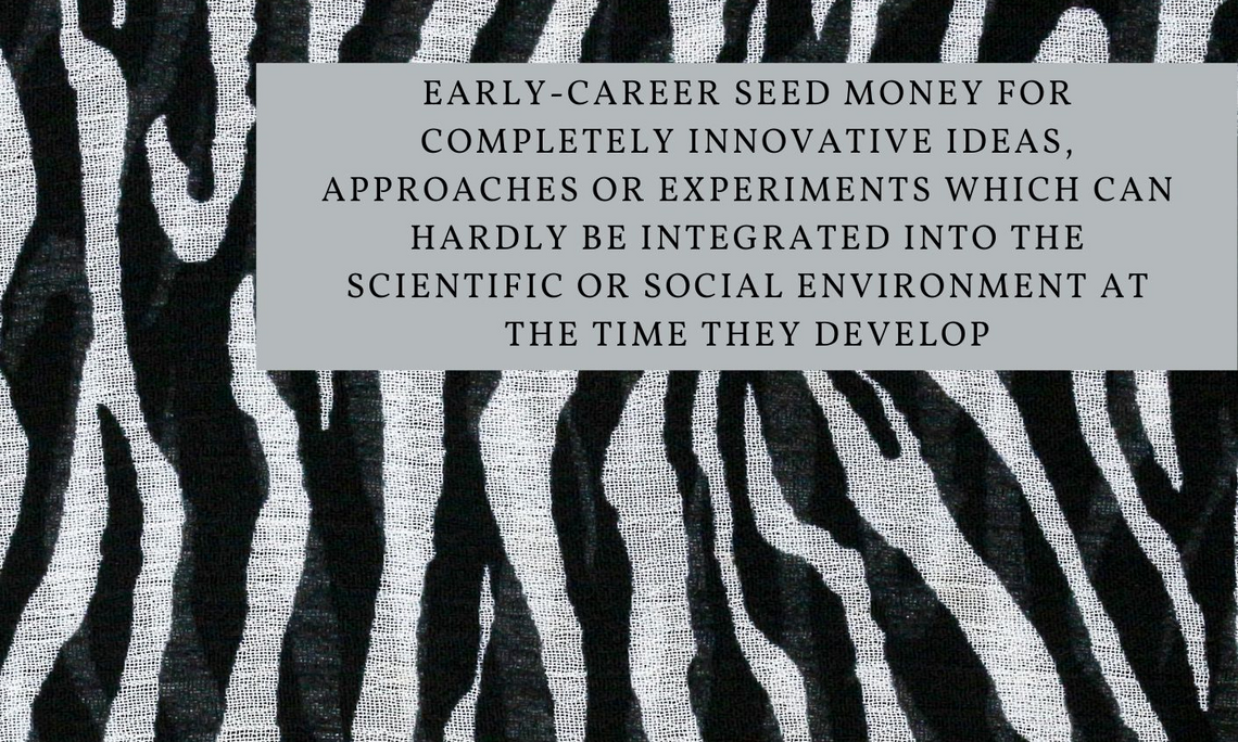 Canva-Design: Zebra-Muster (Stadlbauer/Canva)