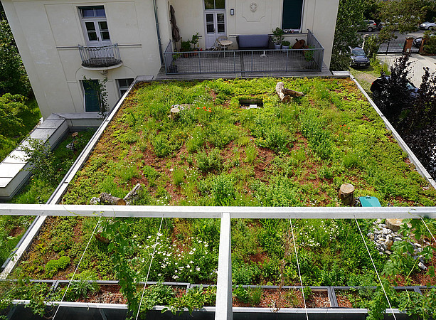 Green roof ©Uni Graz/Benal