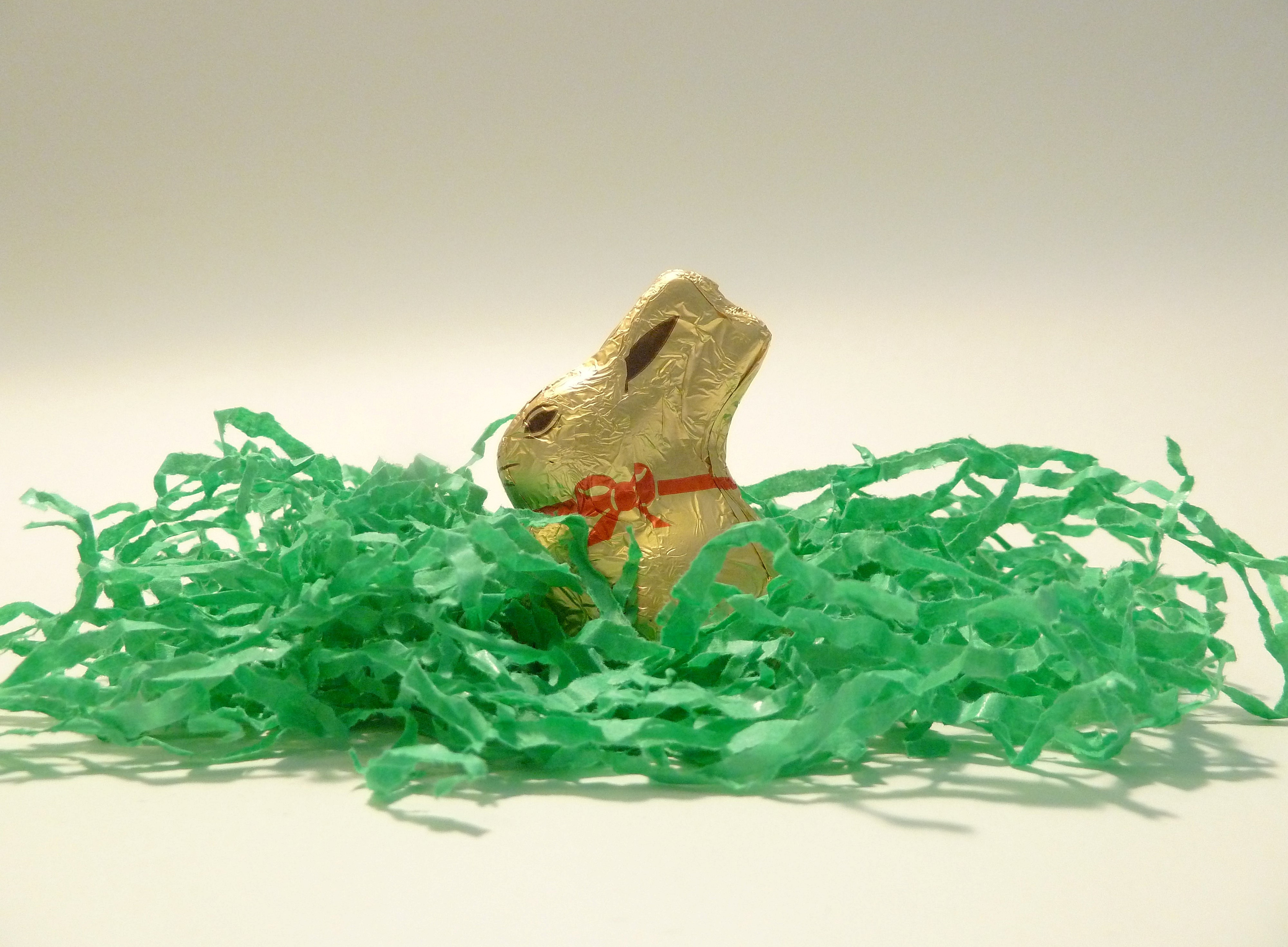 Schoko-Osterhase sitzt auf grünem Lametta-Gras ©J. Talirz