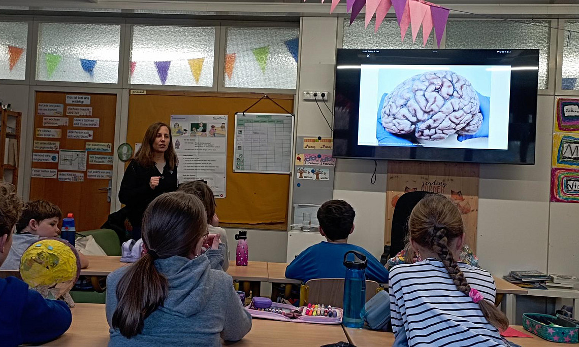 Kids are looking at an image of a real brain