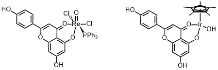 Re- and Ir-apg complexes 
