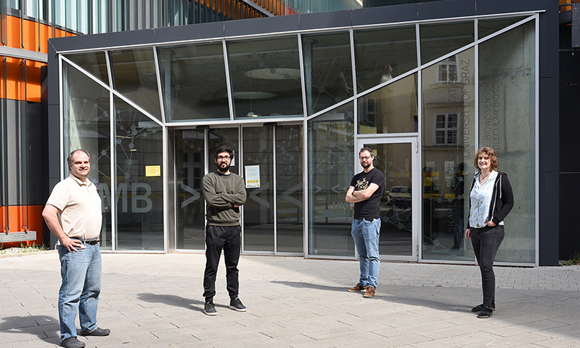 Das Grazer Forschungsteam hat herausgefunden, wo das Cholera-Bakterium sein Toxin versteckt: Stefan Schild, Himadri Thapa, Franz Zingl und Anna Müller (v.l.) vom Institut für Molekulare Biowissenschaften. Foto: Uni Graz/Leljak. 