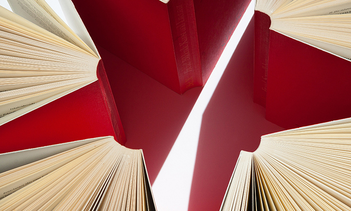 Literatur zeigt uns verschiedene Wege auf, wie wir etwas betrachten und erfahren können - zum Beispiel die Krankheit Demenz. Foto: pexels.com 