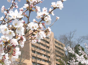 Hiroshima University ©Hiroshima University