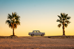 Foto von einem Auto zwischen zwei Palmen