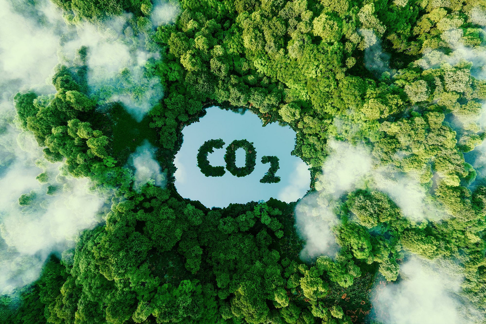Subject photo for the EAERE Summer School 2021: Concept depicting the problem of carbon dioxide emissions and their impact on nature in the form of a pond in the shape of a CO2 symbol in a lush forest. 3d rendering. ©Лилия Захарчук - adobe.stock.com
