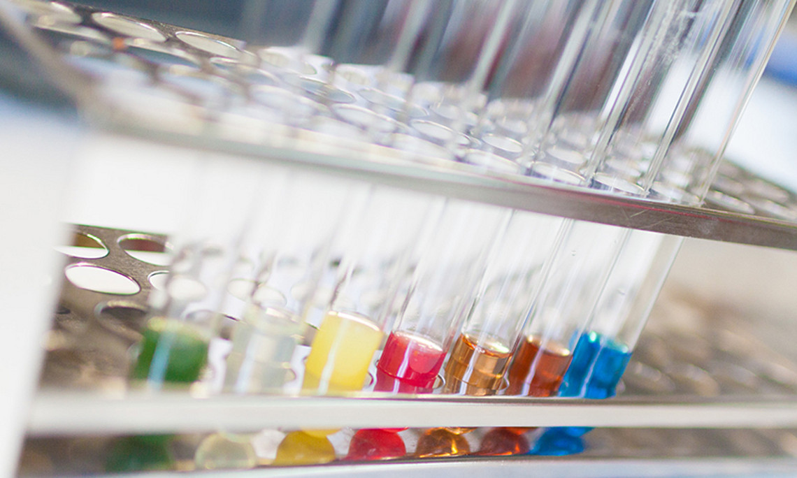 Neue Erkenntnisse von ForscherInnen in BioTechMed-Graz: Sie haben die Energiezufuhr in bestimmten Fettzellen entschlüsselt. Foto: BioTechMed-Graz/Grumet