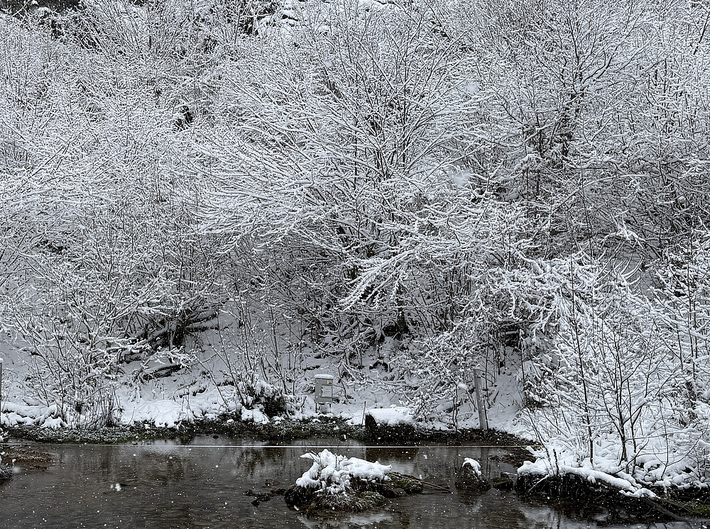 Etzbach spring 