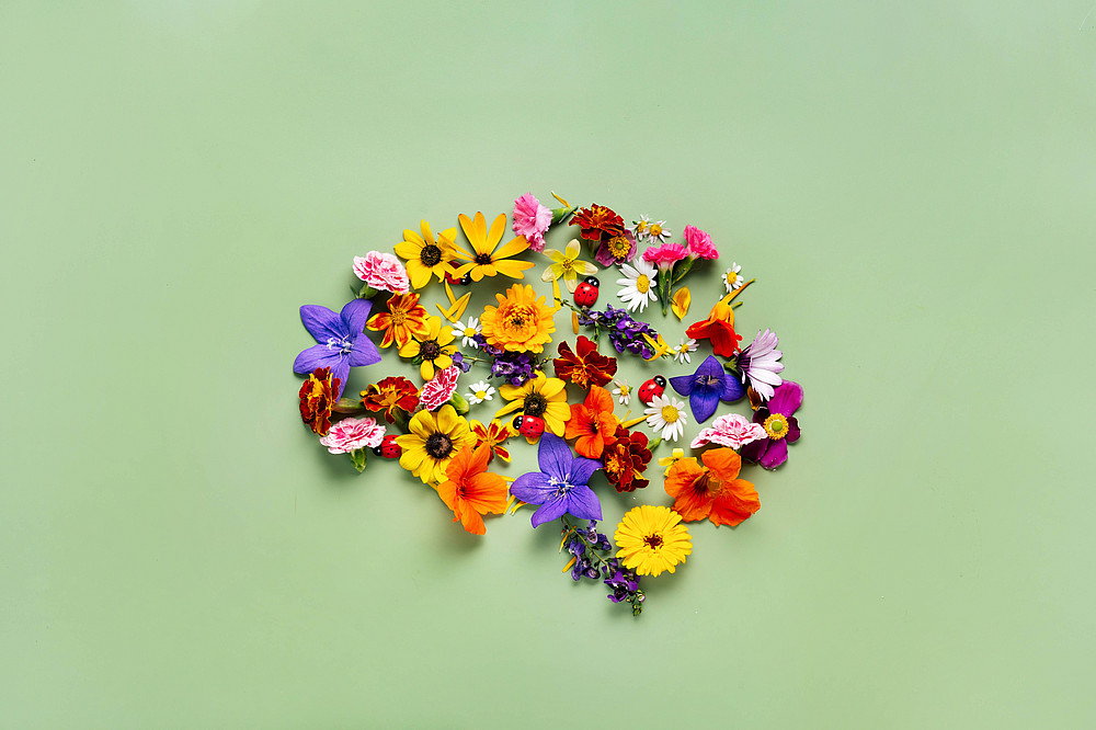Blüten die einen Kopf darstellen ©Katecat_stock.adobe.com