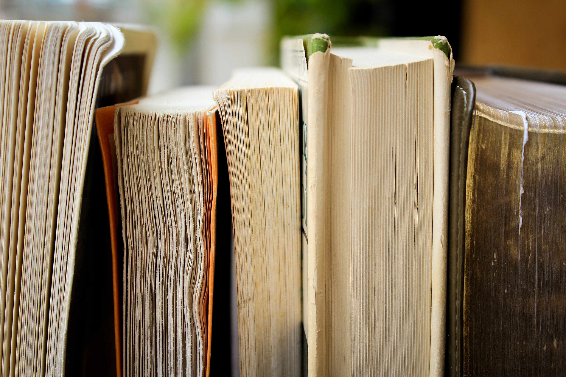 Fünf ältere, nebeneinanderstehende Bücher, die im Vorderschnitt zu sehen sind. ©Pixabay (Pexels)