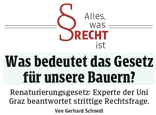 Kleine Zeitung Artikel 