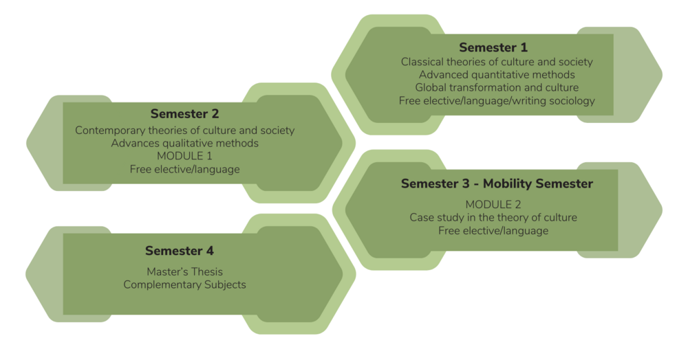 Programme structure of the International Graduate Study Programme in Cultural Sociology ©By International Relations Office/Uni Graz @Canva