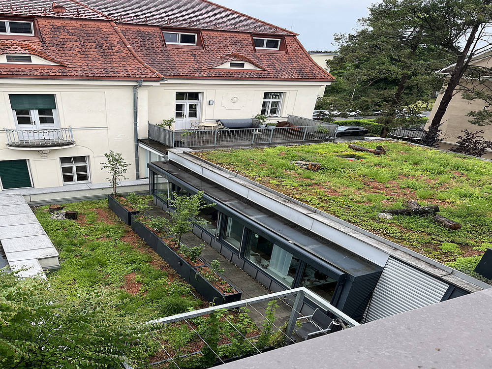 Begrüntes Dach 