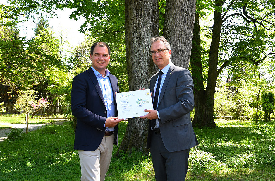 Eine Patenschaft für die Sommerlinde: Michael Schickhofer (links) mit Peter Riedler. Foto: Land Steiermark 