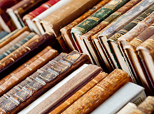 Aneinander gereihte Buchrücken symbolisieren Publikationen ©adistock - stock.adobe.com
