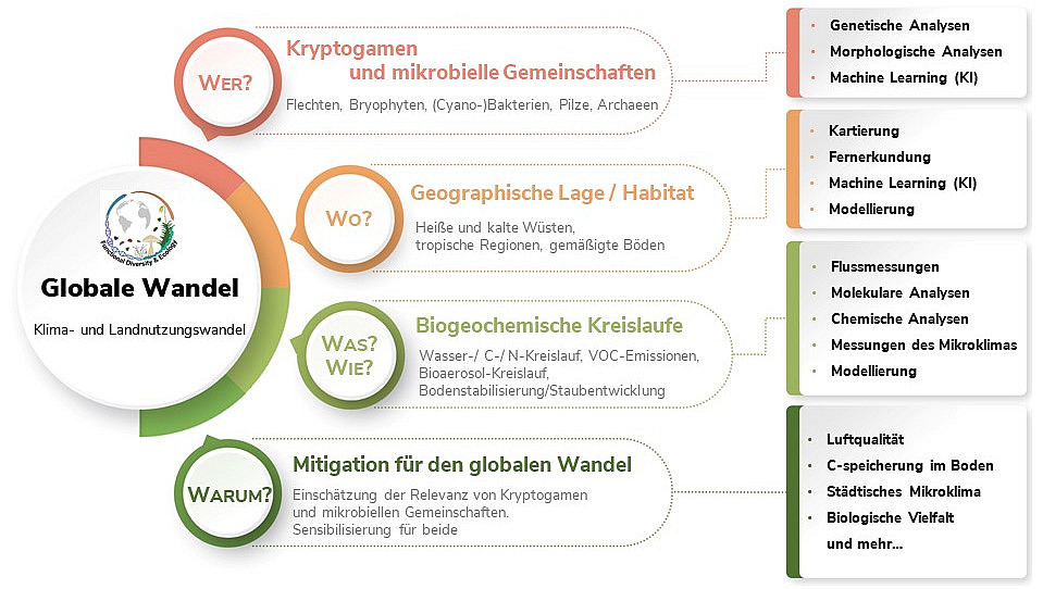 Forschung 