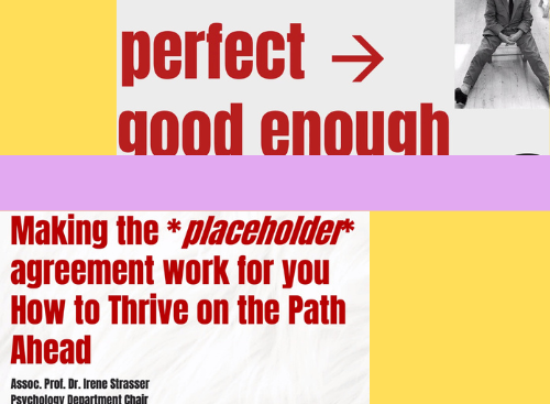 Screenshot Expert Talk mit Irene Strasser 