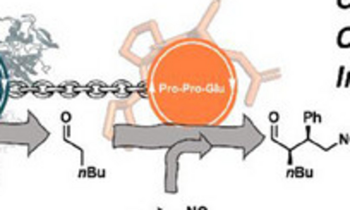 graphical abstract depicting the reactions taking place