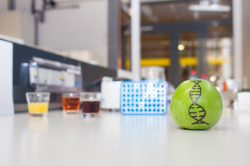 auf einem Labortisch liegt im Vordergrund eine grüner Apfel auf den eine DNA-Helix gemalt ist, im Hintergrund stehen verschiedene Laborutensilien auf dem Labortisch ©Grumet Lukas