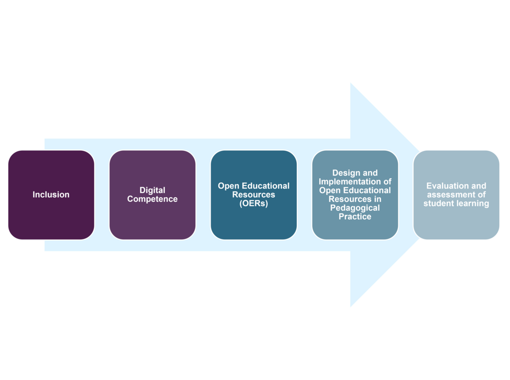 The five modules of the EQui-T teacher training programme 