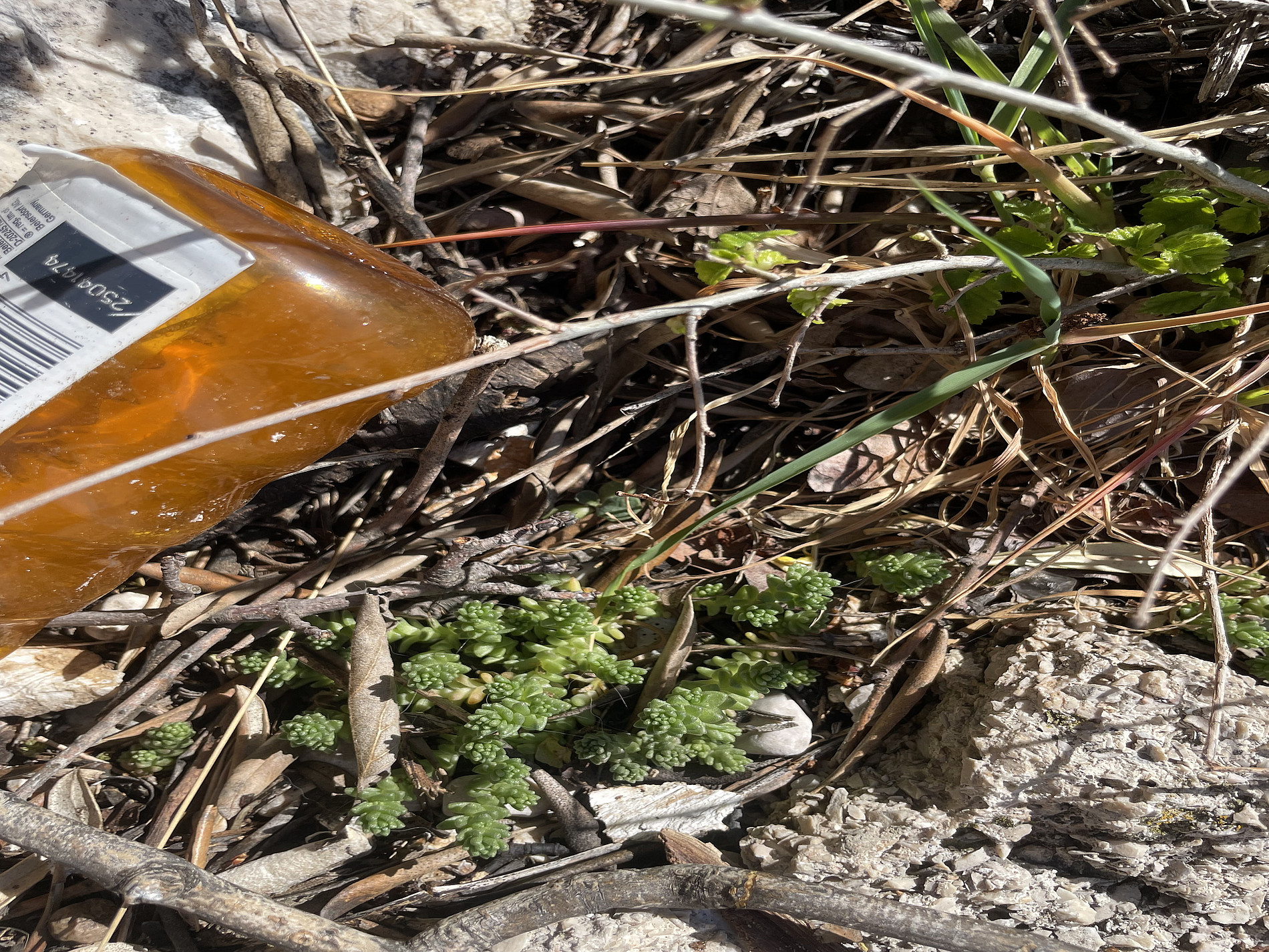Waste in the karst 