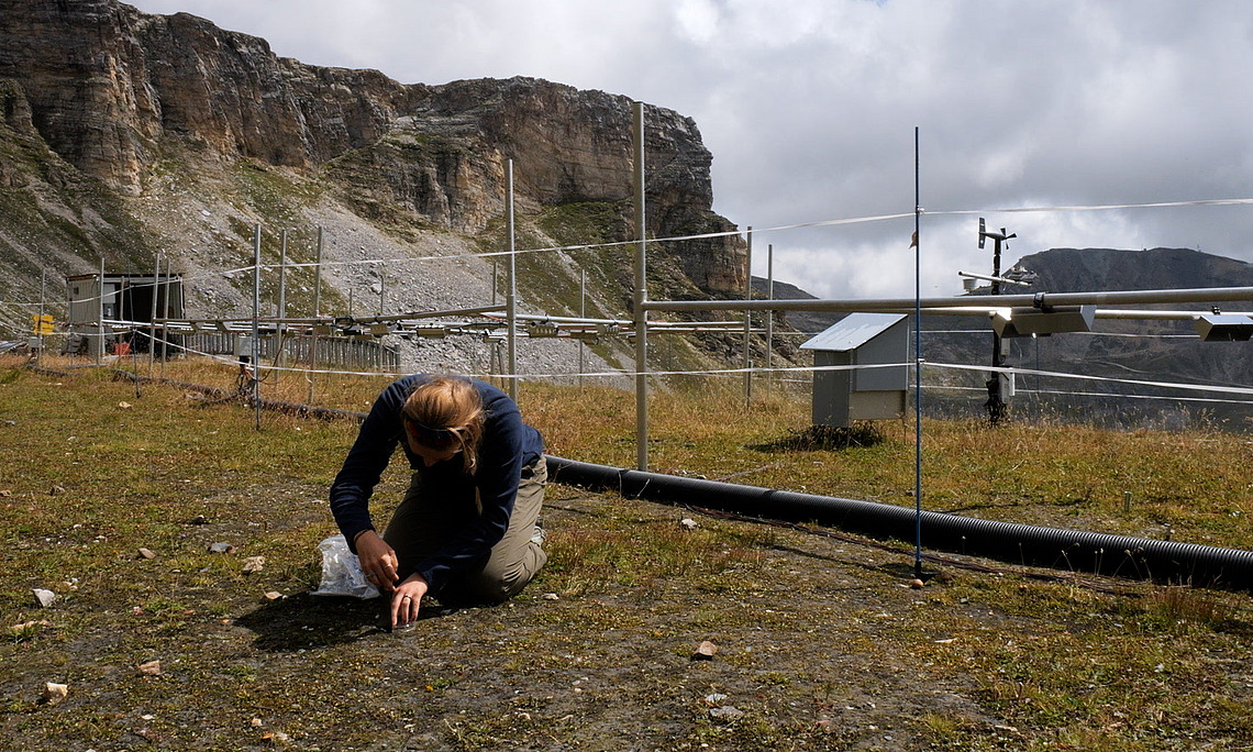 Fieldwork