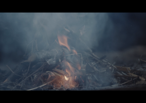 Feuer in einer Feuerstelle ©CC-BY 4.0 Int., Science Ink