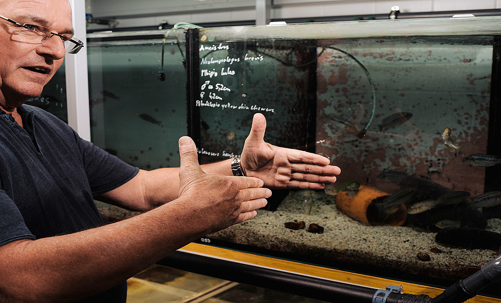 Ein Mann mit Brille und dunklem T-Shirt steht vor einem Aquarium und gestikuliert mit beiden Händen; im Aquarium schwimmen Fische.