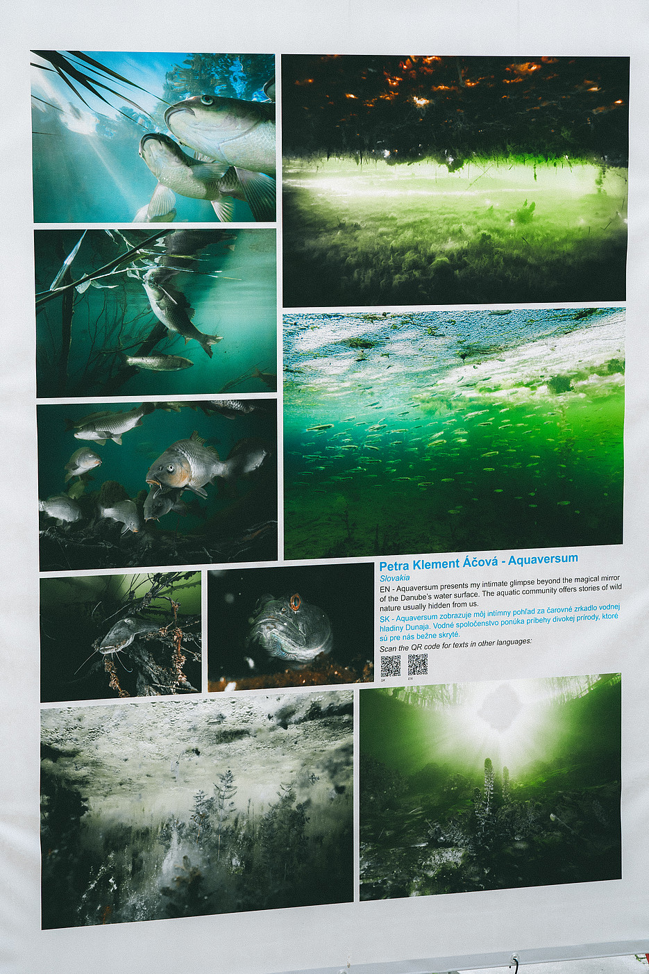 Petra Klement Áčová’s Aquaversum at the Slovak Press Photo 2025 exhibition. ©Manuel Madaini