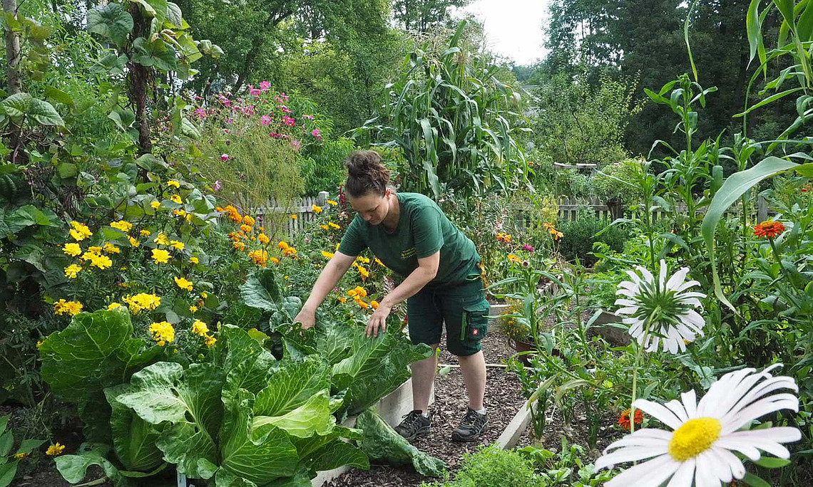 Farm garden at the University of Graz