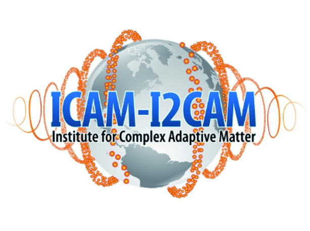 ICAM 