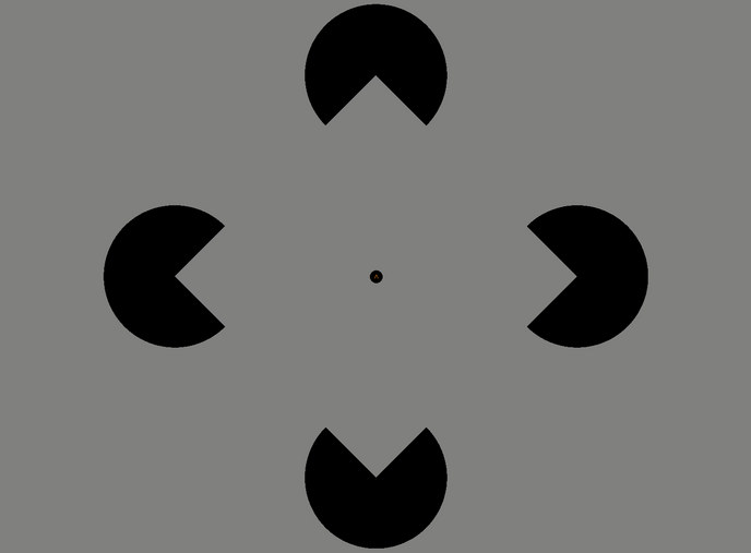Research directions: perception and consciousness - Visual Neuroscience