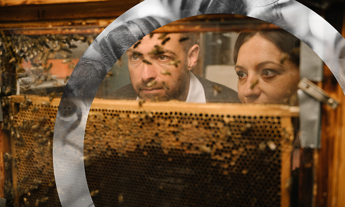 Im Artificial Life Lab setzen ForscherInnen künstliche Intelligenz ein, um das Verhalten von Bienen zu studieren und sie auch fit für Bedrohungen aus der Umwelt zu machen. Foto: Uni Graz/Kernasenko. 