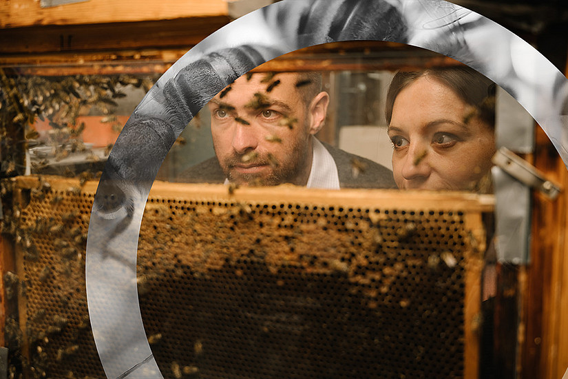 Im Artificial Life Lab setzen ForscherInnen künstliche Intelligenz ein, um das Verhalten von Bienen zu studieren und sie auch fit für Bedrohungen aus der Umwelt zu machen. Foto: Uni Graz/Kernasenko. 