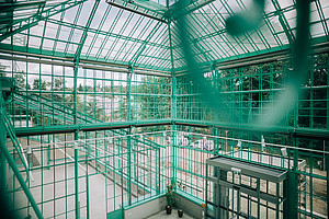 Das historische Glashaus im Botanischen Garten Graz ist saniert und erstrahlt in neuem Glanz. Foto: Uni Graz/Kernasenko