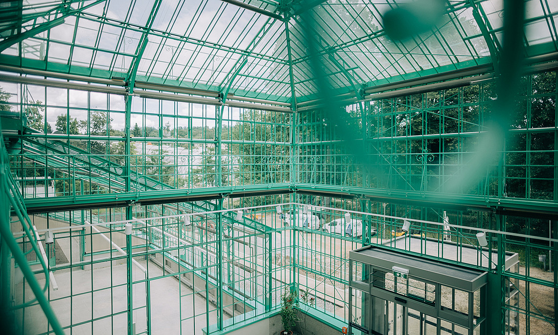 Das historische Glashaus im Botanischen Garten Graz ist saniert und erstrahlt in neuem Glanz. Foto: Uni Graz/Kernasenko