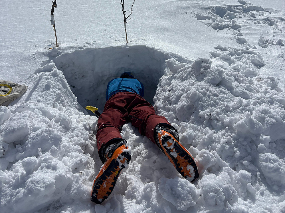 Schneeprofil 