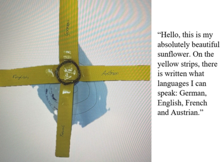 Dominant Language Constellation - sunflower 