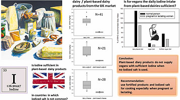 graphical abstract of paper; showing vegan products, a comparison of the results for milk, yoghurt and the recommended intake 