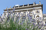 Hauptgebäude mit Lavendel