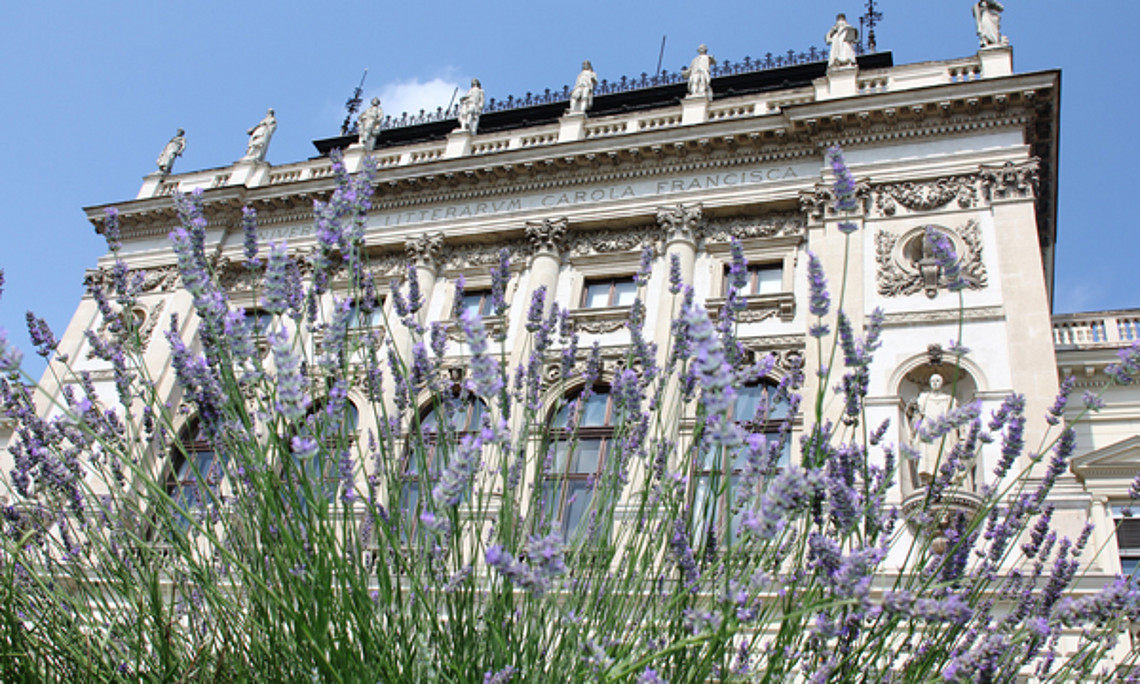 Auch im Sommer ist an der Uni Graz viel los