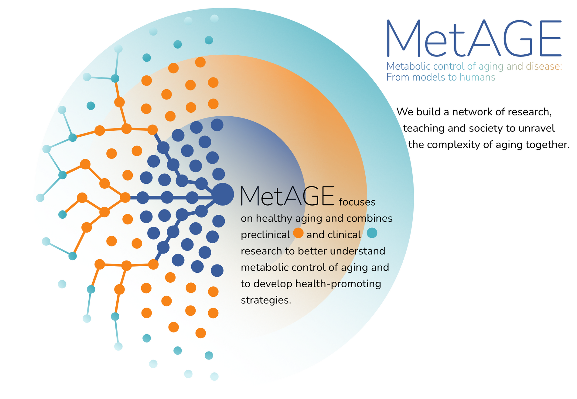 MetAGE_logo_explained 