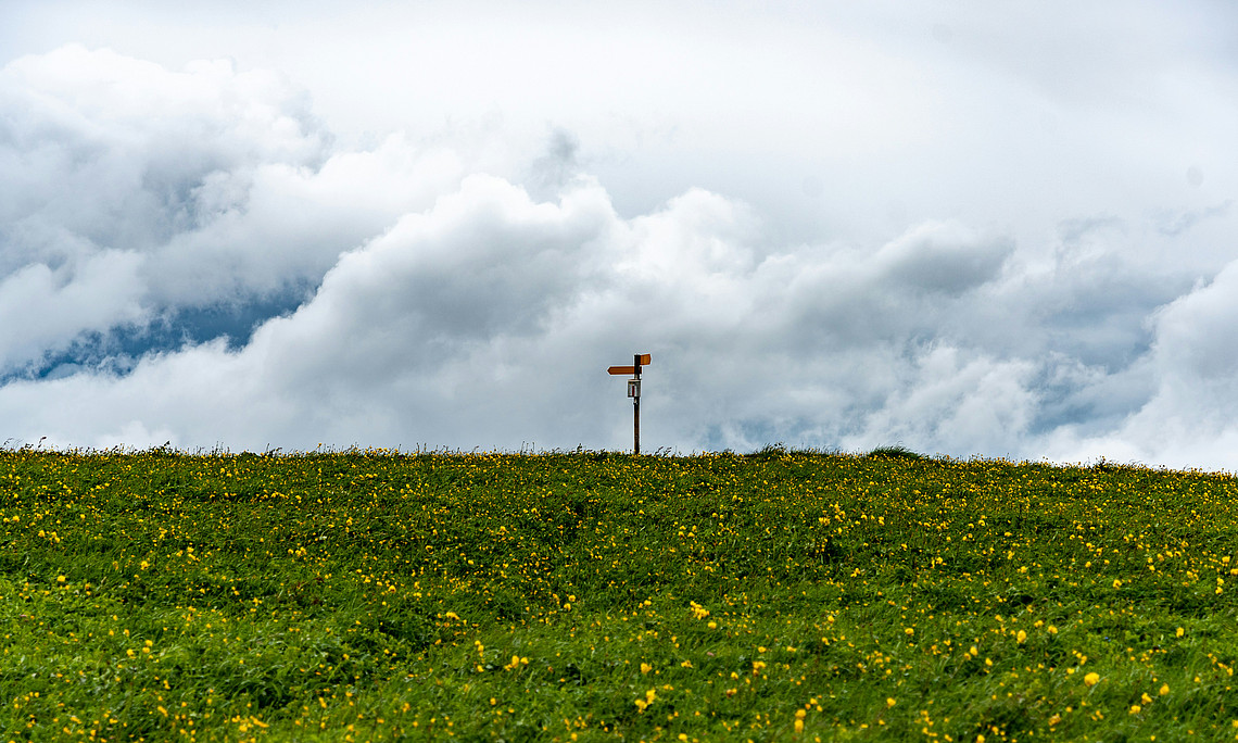 Karriere-Wege für helfende und unterstützende Berufe